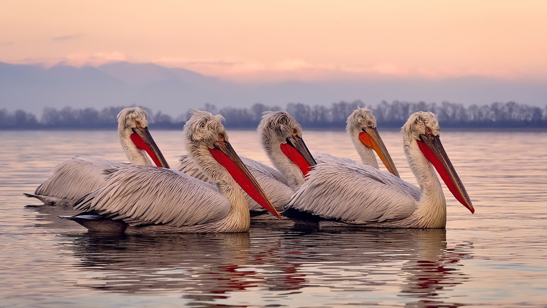 国际热身赛中国女足逆袭 球迷热情高涨，国足热身赛大胜